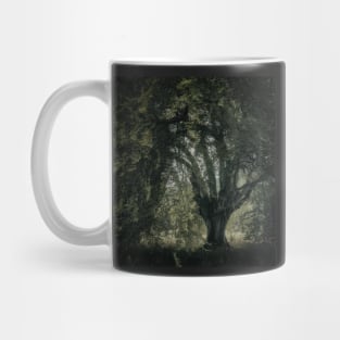 'Veneration', a notable beech tree, Highland Perthshire. Mug